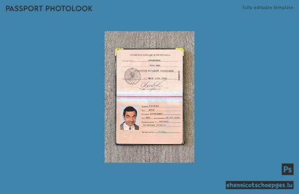 Vorschau eines Passfotos der Volksrepublik Luhansk
